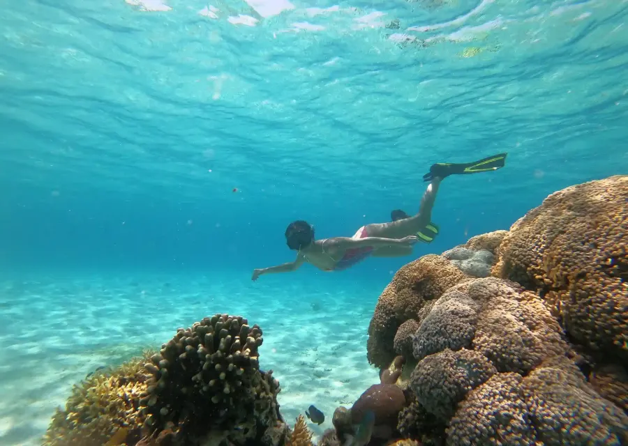 A snorkeller swimming over coral in clear shallow water